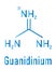 Guanidinium cation skeletal formula. Protonated form of guanidine.