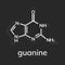 Guanine chemical formula