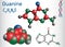 Guanine G, Gua - purine nucleobase, fundamental unit