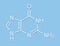 Guanine G purine nucleobase molecule. Base present in DNA and RNA. Skeletal formula.