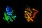 Guanine nucleotide-binding protein G(i), alpha-1 subunit is a pr