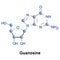 Guanosine guanine and ribose