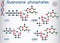 Guanosine phosphates guanosine triphosphate, guanosine diphosph