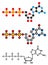 Guanosine triphosphate (GTP) RNA building block molecule. Also used as energy transport molecule and in signal transduction