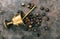 Guarana nuts and a bronze mortar on metal rusty background, top view