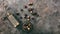 Guarana nuts and a grinder on metal background, top view, copy space