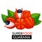 Guarana vector icon.