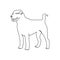 Guard dog one line art. Continuous line drawing of kangal alabai, shepherd dog, animal.
