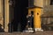 Guard with guardhouse at Stockholm Palace, Stockholm, Sweden