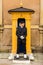 A guard stands stationary at his post at the Royal Palace, Stockholm, Sweden.