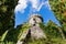 Guard tower surrounded by tries in Powerscourt gardens, Ireland