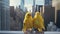 Guardian Canary A Cinematic Still Of New York City\\\'s Charming Birds