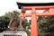 Guardian fox of Fushimi Inari Taisha in Kyoto