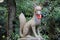 Guardian fox of Fushimi Inari Taisha in Kyoto