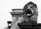 Guardian Lion at Szechenyi Chain Bridge Entrance