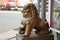 Guardian lions or Fo-dogs flank the entrance gates Buddhist temple.