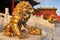 Guardian Lions in front of The Three Great Halls Palace. Forbidden City. Beijing. China