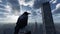 Guardian Of The Twin Towers: Surreal 3d Crow In New York Cityscape