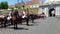 Guards changing ceremony, Alba Iulia, Romania