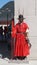 Guardsman guards stand watch during the ceremonial guard change at Gyeongbokgung. Seoul, South Korea.