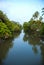 Guatemala Scenic mangrove view  with reflections and blue cloudy sky pacific ocean