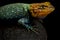 Guatemalan Emerald Spiny Lizard Sceloporus taeniocnemis