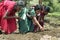 Guatemalan Indian women seeding vegetable seeds