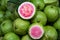 Guava fruit for trade, sell, design