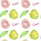 Guava fruits and cut halves and green leaves with inscription, hand painted watercolor illustration, seamless pattern design