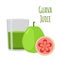 Guava juice, fruit alcohol, flat style. Tropical fresh, vitamin
