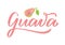 Guava pink textured lettering with a drawn fruit