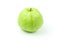 Guava Psidium guajava are fresh green fruit. rich in vitamins have a taste sour and sweet on isolated white background and