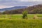 Guayaquil Outskirt Landscape Scene