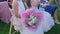 Guests Littla Girls With A flower Bouquets Sitting on a Wedding Ceremony