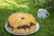 Gugelhupf in green grass, very tasty edible two-colored Czech sweet cake called babovka, ready to eat, daisy flower, tea break