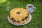 Gugelhupf in green grass, very tasty edible two-colored Czech sweet cake called babovka, ready to eat, daisy flower, tea break