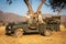 Guide and brunettes in jeep under tree