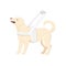 Guide dog wears white harness with long handle vector illustration