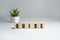Guide Word Written In Wooden Cube on white background