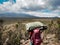 Guides porters and sherpas carry heavy sacks as they ascend mount kilimanjaro the tallest peak in africa.