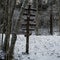 Guiding Through Winter\\\'s Veil: Wooden Way-Sign in Pokainu Mezs, Dobele, Latvija