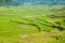 Guiling landscape with rice fields