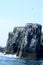 Guillemots on cliffs, Inner Farne, Farne Islands