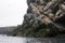 Guillemots sitting on nesting ledges