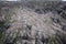 Guillemots sitting on nesting ledges 2