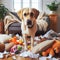 Guilty Labrador dog pet canine in messy room that he caused. Dog training concept.