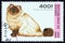 GUINEA - CIRCA 1996: A stamp printed in Guinea from the `Cats` issue shows Chocolate point Himalayan cat, circa 1996.