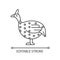 Guinea fowl linear icon
