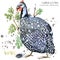 Guinea fowl. wild bird watercolor seamless pattern.