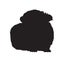 Guinea Pig Cavia porcellus  Sitting On a Front View Silhouette Found In Map Of South Africa
